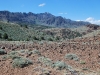 Pastviny v Indian Creek