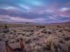 Přehánění krav do hor a východ slunce nad Alvord Desert, foto Kim Stone