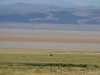 Alvord Desert, Jana a Snowflake, foto Kim Stone