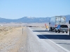Nevada - přechod stáda krav přes cestu