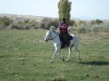 U krav, foto: Sheryl Post Morton U krav, foto: Sheryl Post Morton