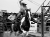 Team Roping