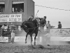 Stock Saddle Bronc Riding