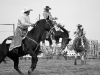 Stock Saddle Bronc Riding