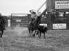 Team Roping