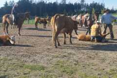 IMG-20241012-WA0019