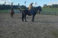 IMG-20241012-WA0047