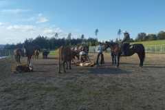 IMG-20241012-WA0061