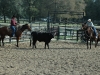 Florida - horsemanship, roping, foto: Kathleen
