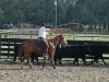 Florida - horsemanship, roping