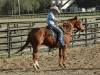Florida - horsemanship, roping