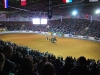 NRHA Futurity