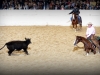 NCHA Futurity