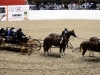 NCHA Futurity Finals - zahajovací ceremoniál