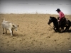 Craig Thompson - Oh Miss Caroline - vítězná jízda NCHA Futurity