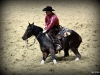 Craig Thompson - Oh Miss Caroline - vítězná jízda NCHA Futurity