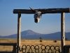 Kueny Ranch