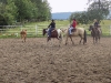 Koně se navzájem podporují při trackování krav větších, než jsou oni sami :-) Foto: Andrea Bednaříková