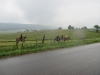 Zamračené sobotní ráno, cestou ke kravám. Foto: Andrea Bednaříková