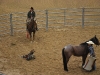 Buck Brannaman s dcerou Reatou