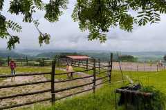 IMG-20240520-WA0002