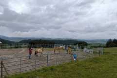 IMG-20240520-WA0005