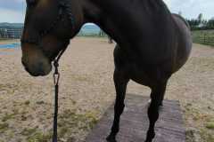 IMG-20240520-WA0021