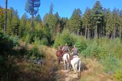 IMG-20240926-WA0022