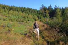IMG-20240926-WA0028