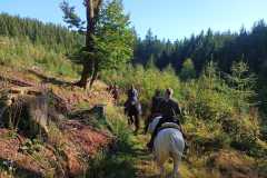 IMG-20240926-WA0029