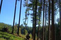 IMG-20240926-WA0030