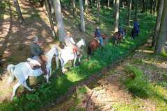 IMG-20240926-WA0031
