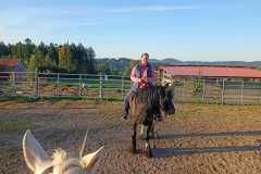 IMG-20240926-WA0035