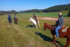 IMG-20240926-WA0048