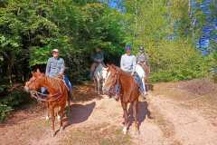 IMG-20240926-WA0050