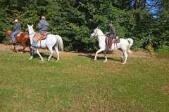 IMG-20240926-WA0053