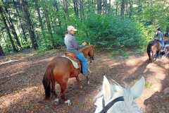 IMG-20240926-WA0054