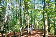 IMG-20240926-WA0057
