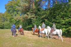 IMG-20240926-WA0060