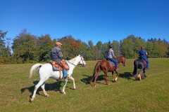 IMG-20240926-WA0075