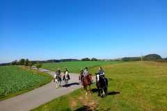 IMG-20240926-WA0077