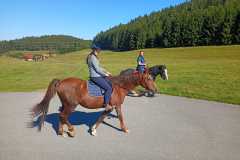 IMG-20240926-WA0081