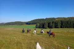 IMG-20240926-WA0096