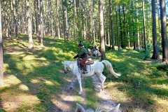 IMG-20240926-WA0099