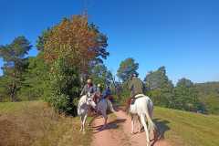 IMG-20240926-WA0104