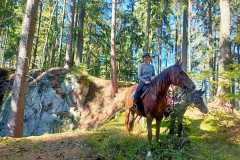 IMG-20240926-WA0109