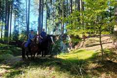 IMG-20240926-WA0112