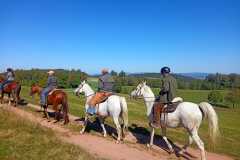 IMG-20240926-WA0116