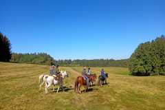 IMG-20240926-WA0123