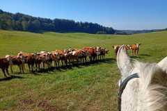 IMG-20240926-WA0127